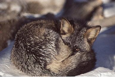 国庆中秋假期剁手正当时！Steam秋季特卖明天凌晨1点开启