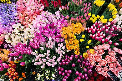 《帝国时代4》发售后将有机器学习AI 无法被打败